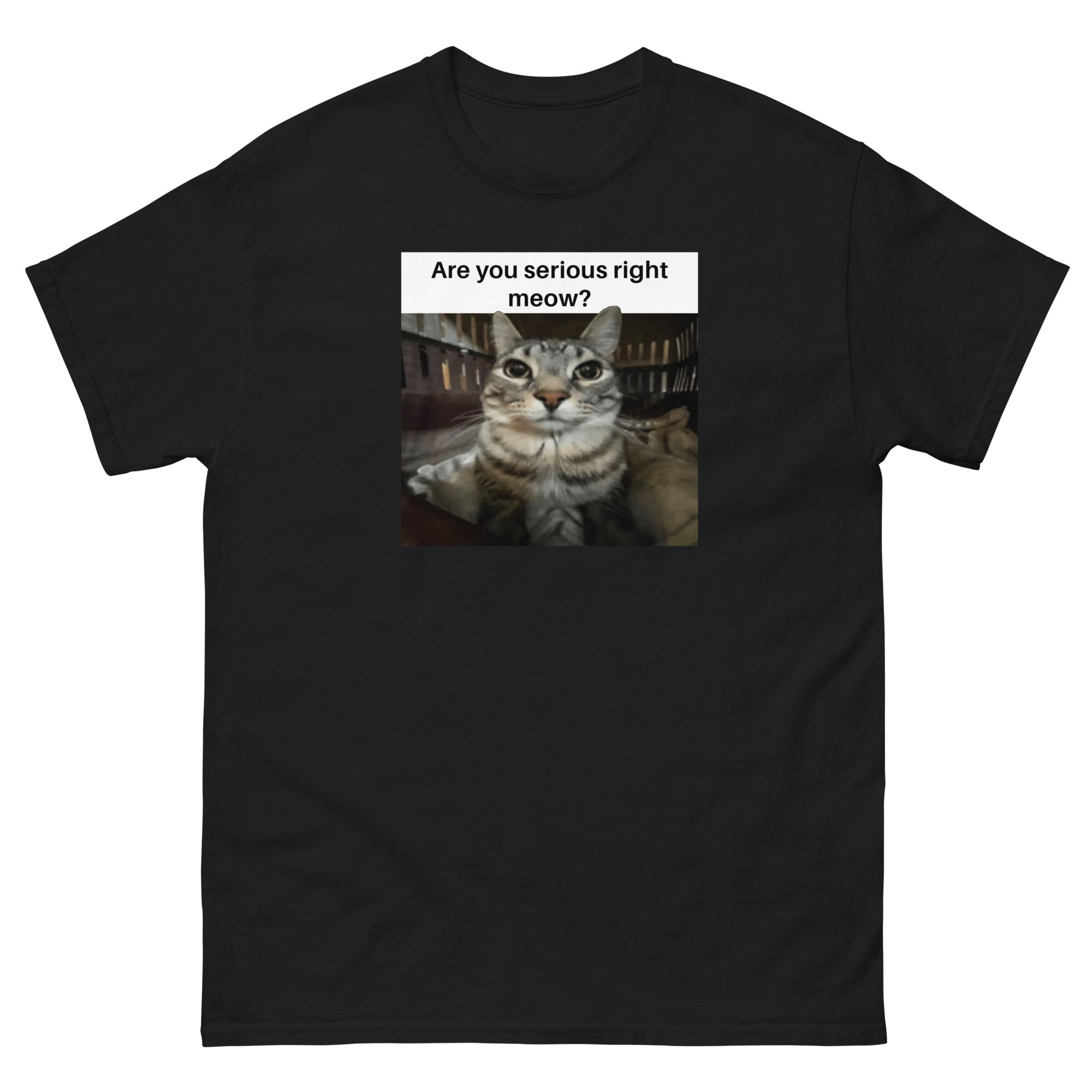 Are You Serious Right Meow